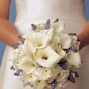 bouquet per chiedere scusa
