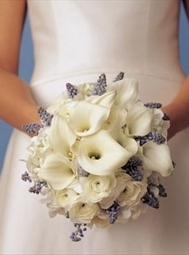 bouquet per chiedere scusa