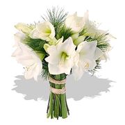 bouquet per laurea e diploma