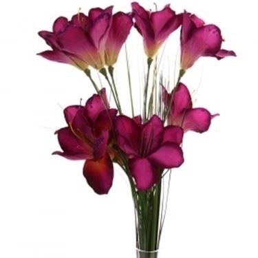 bouquet per natale buon anno
