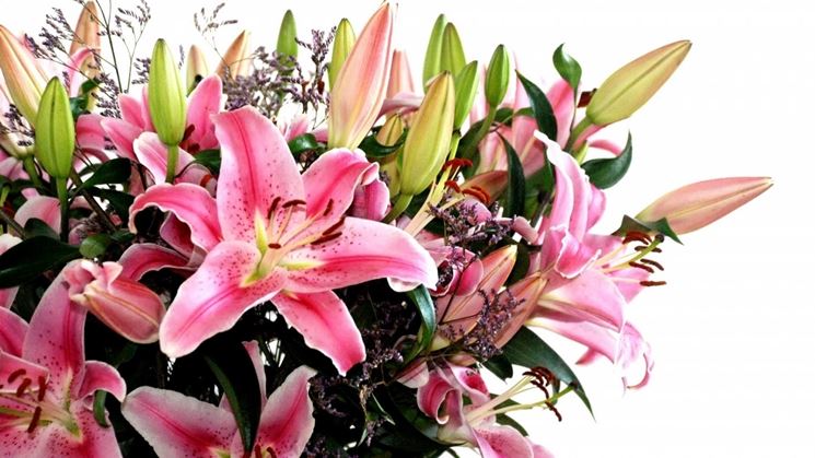 mazzo di fiori-3