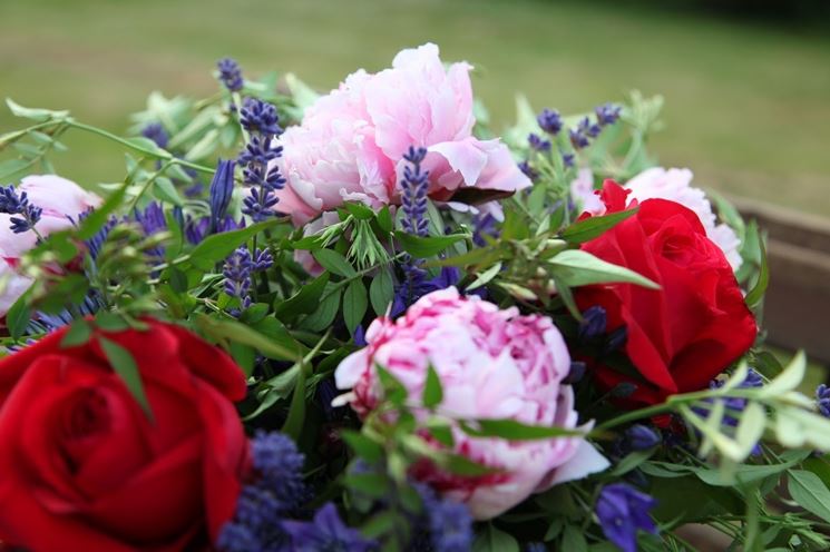 Regalare Fiori-2
