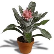 consegna fiori per amicizia
