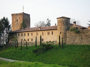 fiori a domicilio Piacenza