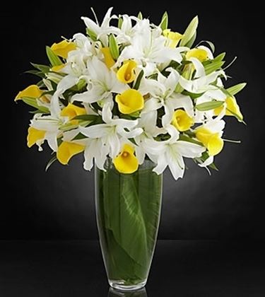 fiori Afragola