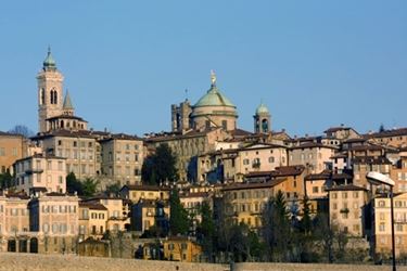 fiori Bergamo