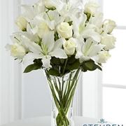 fiori Fano