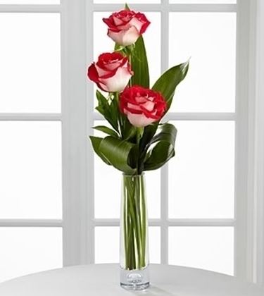 fiori online Latina