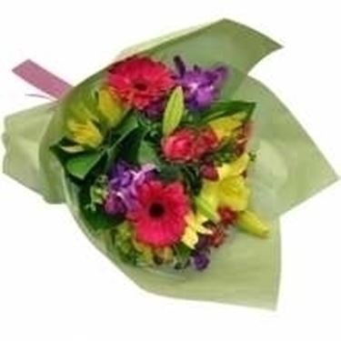 fiori online Terni