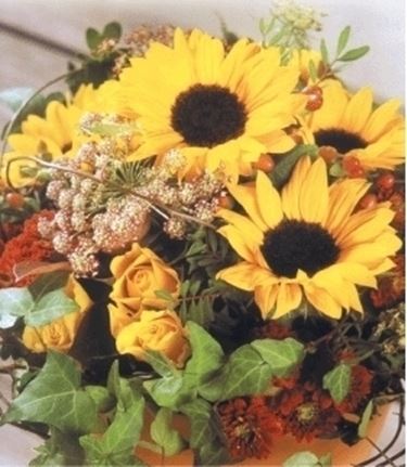 fiori per mi dispiace