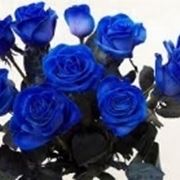 fiori per onomastico