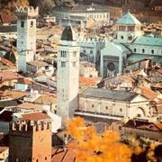 fiori Trento