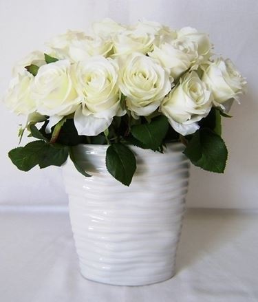 Domanda: cos'hanno le mie rose?