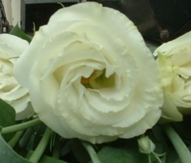 invio fiori per nozze argento-oro-1