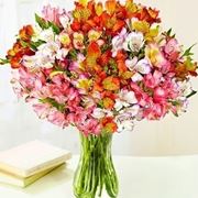 consegna fiori per battesimo