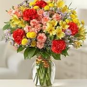 consegna fiori per chiedere scusa