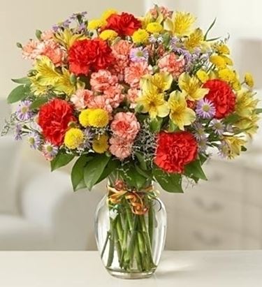 consegna fiori per chiedere scusa