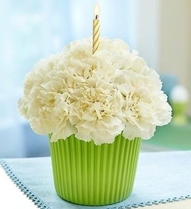 consegna fiori per compleanno