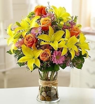 consegna fiori per mi dispiace