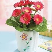 fiori per battesimo