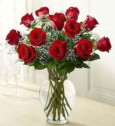 fiori per chiedere scusa