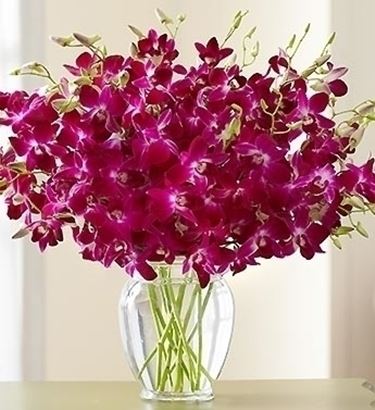 invio fiori per mi dispiace