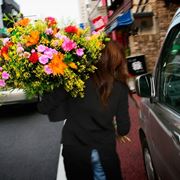 Brescia fiori