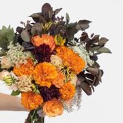consegna dei fiori a Matera