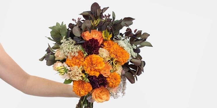consegna dei fiori a Matera