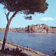 consegna fiori a Brindisi