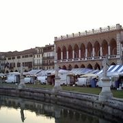 consegna fiori a domicilio Padova