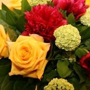 consegna fiori a Trieste
