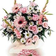 consegna fiori Casoria
