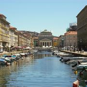 consegna fiori domicilio Trieste