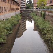 consegna fiori Gallarate