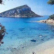 consegna fiori Olbia