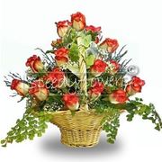 consegna fiori per laurea e diploma-1