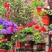 consegna fiori per ringraziamenti