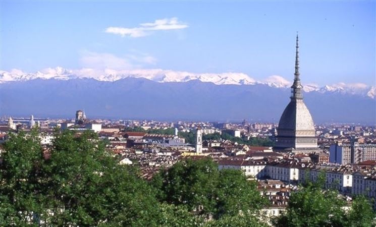 consegna fiori Torino