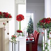 addobare per natale