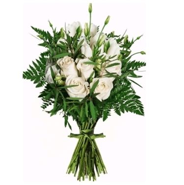 astromeria bianche