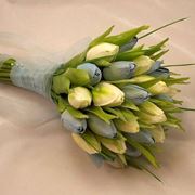 bouquet di tulipani gialli-1