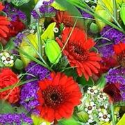 bouquet per congratulazioni