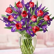 bouquet per dirti che?