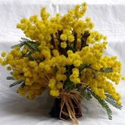 bouquet per la festa della donna