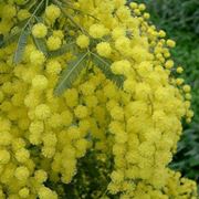 bouquet per la mamma-7