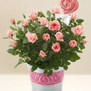 bouquet per lei-6