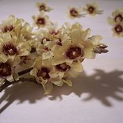 bouquet per nozze argento-oro-2