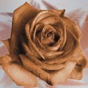 bouquet per onomastico-5
