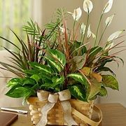 bouquet per onomastico-6